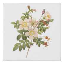 Vintage White Floral Faux Canvas
