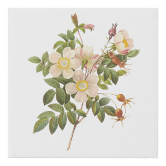 Vintage White Floral Faux Canvas