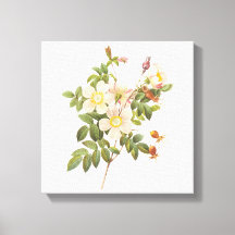 Vintage White Flowers Wrapped Canvas Print