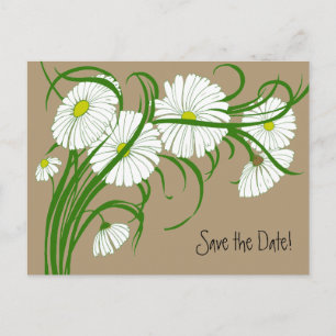 Vintage White Gerber Daisy Flowers Save the Date Announcement Postcard