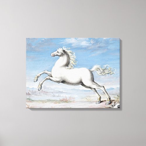 Vintage White Horse Canvas Print