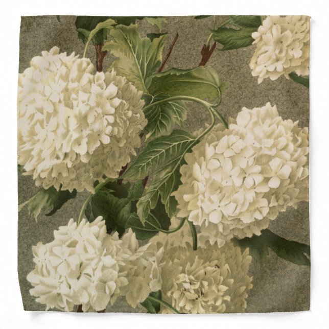 Vintage White Hydrangeas on Grey Background Bandana (Front)