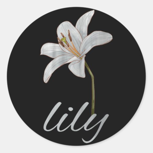 vintage white lily flower retro floral classic round sticker