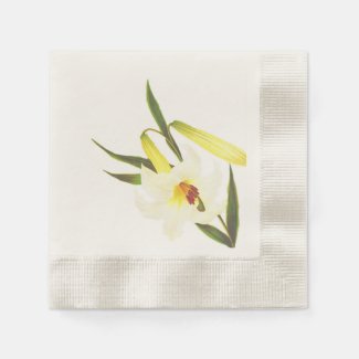 Vintage White Lily