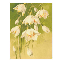 Lily Valley Postcards No Minimum Quantity Zazzle