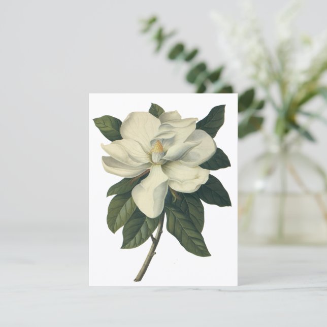 Vintage White Magnolia Blossom Flowers Invitation (Standing Front)