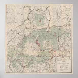 Vintage White Mountains National Forest Map (1931) Poster