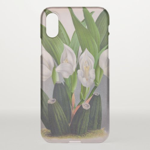 Vintage White Orchid Anguloa Uniflora Lindenia iPhone X Case