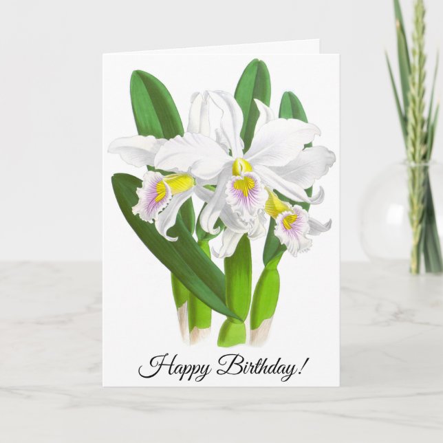 Vintage White Orchid Flower Personalized Card (Front)