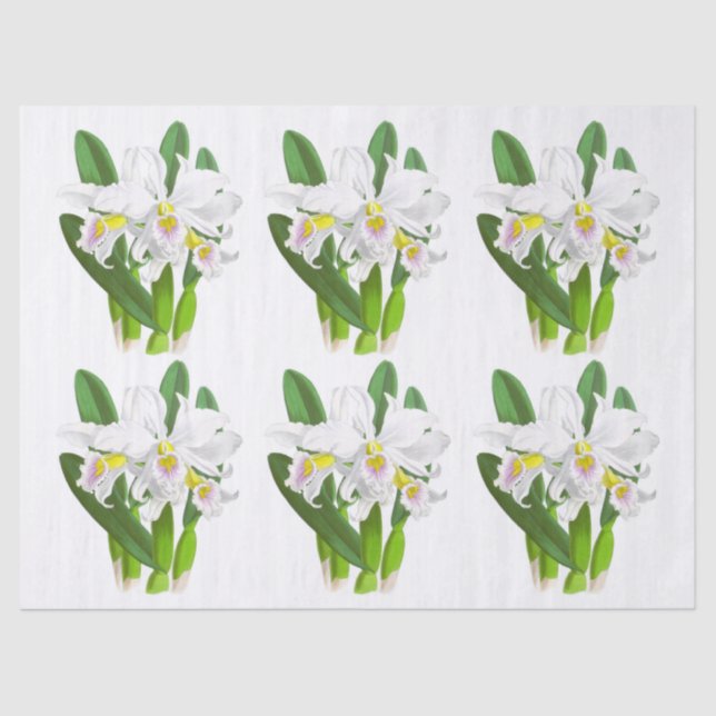 Vintage White Orchid Flower Tissue Paper (Front)
