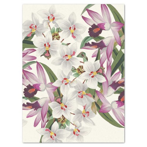 Vintage White  Orchid Flowers Tissue Paper