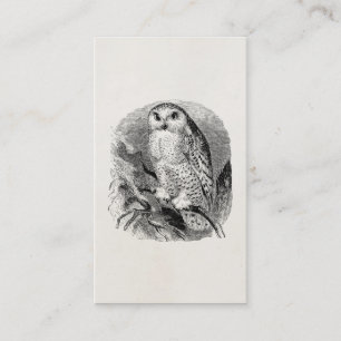 Vintage White Owl Bird Personalized Owls Birds Business Card