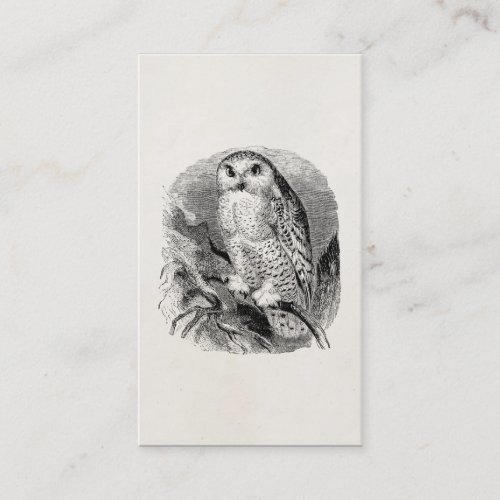 Vintage White Owl Bird Personalized OwlsBirds Business Card