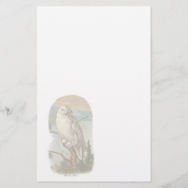 Vintage White Owl Stationery (Front)