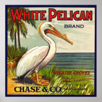 VINTAGE WHITE PELICAN FRUIT PACKING CRATE LABEL