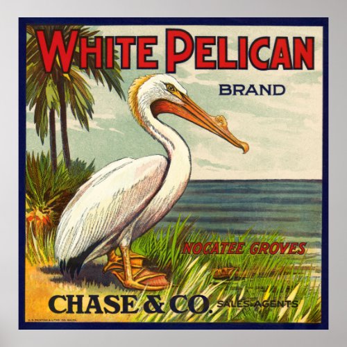 VINTAGE WHITE PELICAN FRUIT PACKING CRATE LABEL