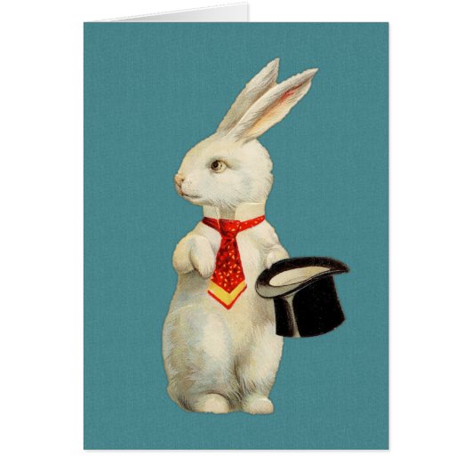Vintage White Rabbit Cards (Front)