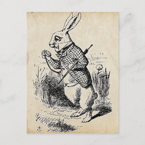 Vintage White Rabbit Postcard