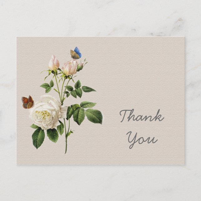 Vintage white rose flowers thank you postcard (Front)