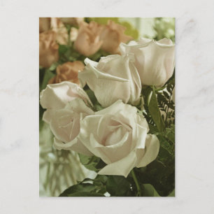 Vintage white roses print postcard