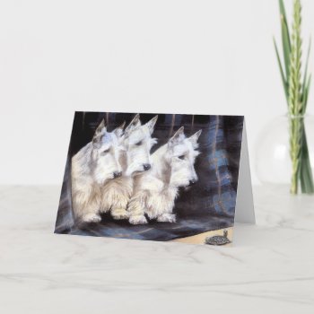 Vintage White Scottish Terriers Scotties Card by AVintageLife at Zazzle