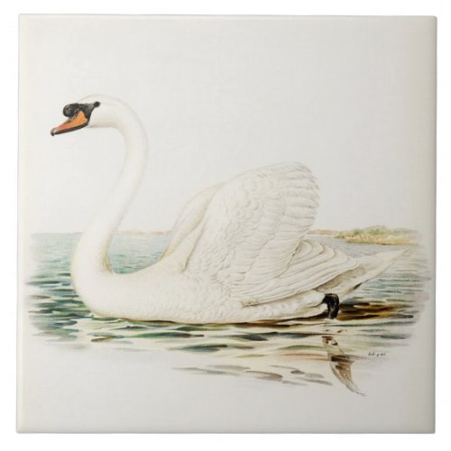 Vintage White Swan Swimming Illustration Ceramic Tile