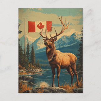 Vintage White-tailed deer in Canada Postcard
