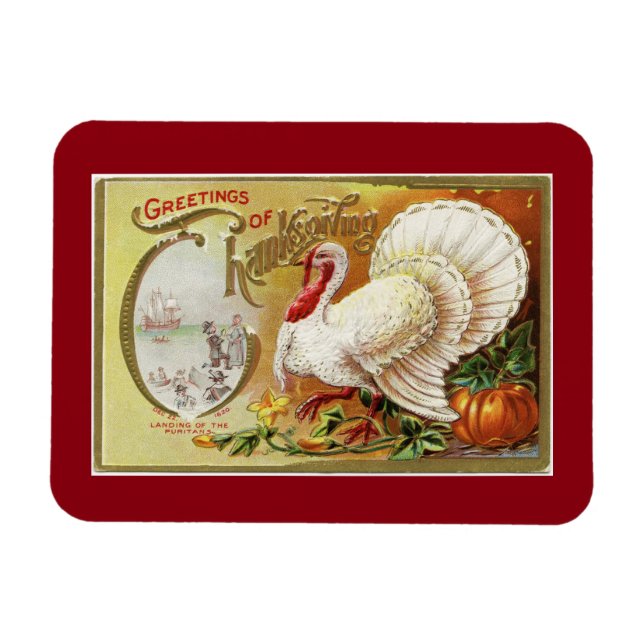 Vintage White Turkey Magnet (Horizontal)