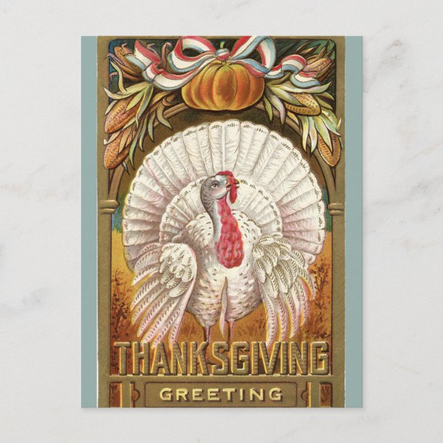 Vintage White Turkey Pumpkin and Bow Postcard (Front)