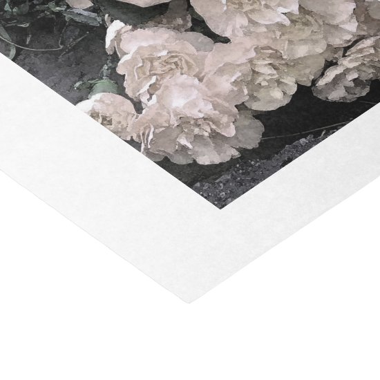 Vintage White Watercolor Roses sized for Bottles Tissue Paper