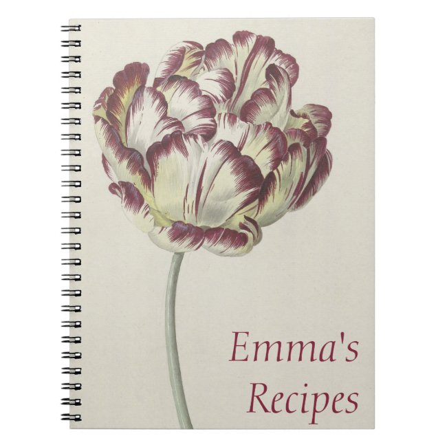 Vintage white, yellow & red tulip Notebook