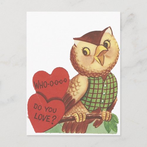 Vintage Who Do You Love Owl Valentine Holiday Postcard