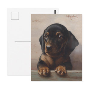 Vintage Wiener Dog Puppy Portrait Oil Painting Postcard