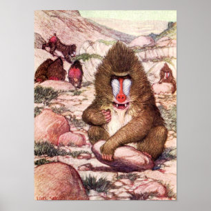 Vintage Wild Animal, Baboons by Louis Sargent Poster