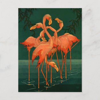 Vintage Wild Animal Birds  Tropical Pink Flamingos Postcard by Tchotchke at Zazzle