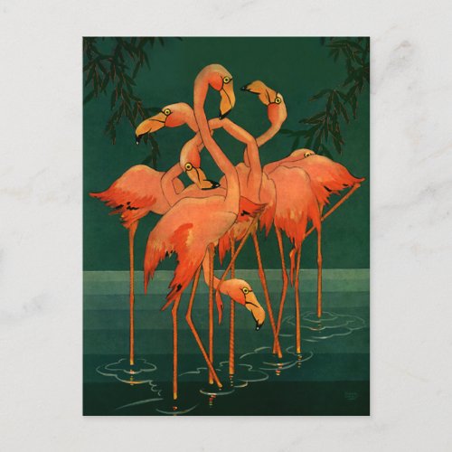 Vintage Wild Animal Birds Tropical Pink Flamingos Postcard