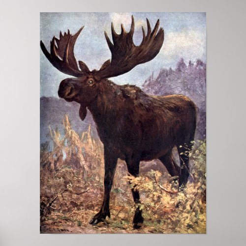 Vintage Wild Animal Moose or Elk by CE Swan Poster