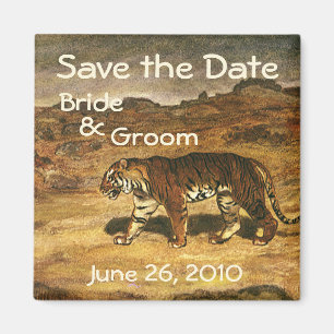 Vintage Wild Animal Tigers, Save the Date! Magnet