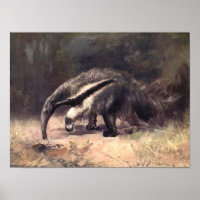 Vintage Wild Animals, Giant Anteater by CE Swan