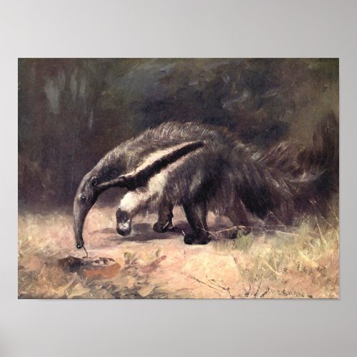 Vintage Wild Animals Giant Anteater by CE Swan Poster