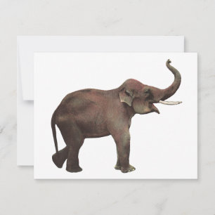 Vintage Wild Animals, Good Luck Asian Elephants Card