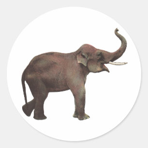 Vintage Wild Animals, Good Luck Asian Elephants Classic Round Sticker