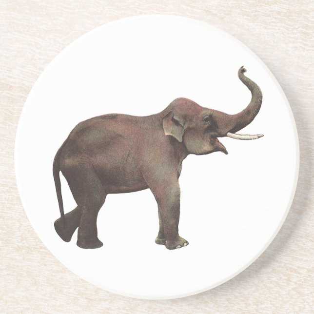 Vintage Wild Animals, Good Luck Asian Elephants Coaster (Front)