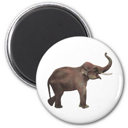 Vintage Wild Animals Good Luck Asian Elephants Magnet