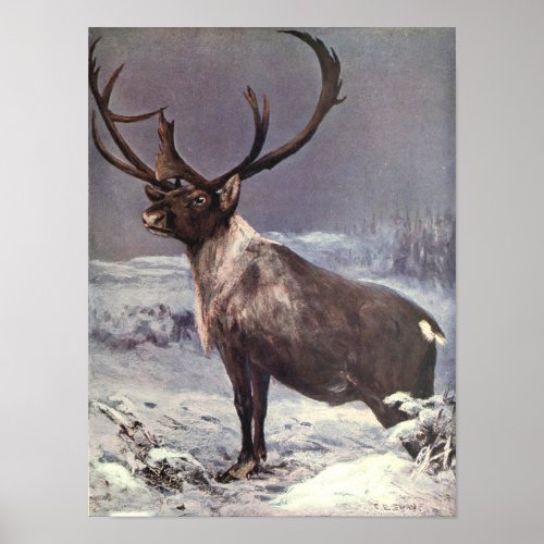 Vintage Wild Animals Reindeer Caribou by CE Swan Poster