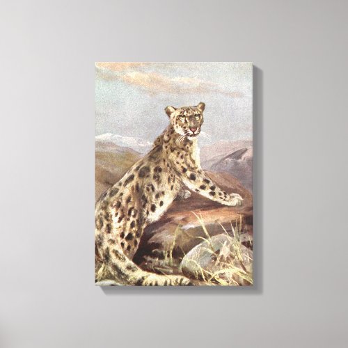 Vintage Wild Animals Snow Leopard by CE Swan Canvas Print