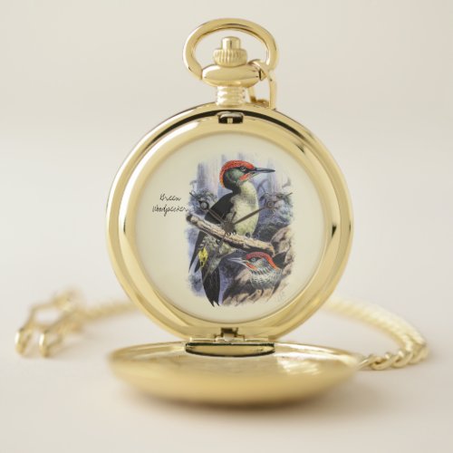 Vintage Wild Birds Illustration Green Woodpecker Pocket Watch