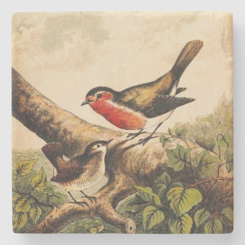 Vintage Wild Birds Illustration Robins Stone Coaster