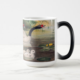 Vintage Wild Black-Necked Swan  Color Morph Mug