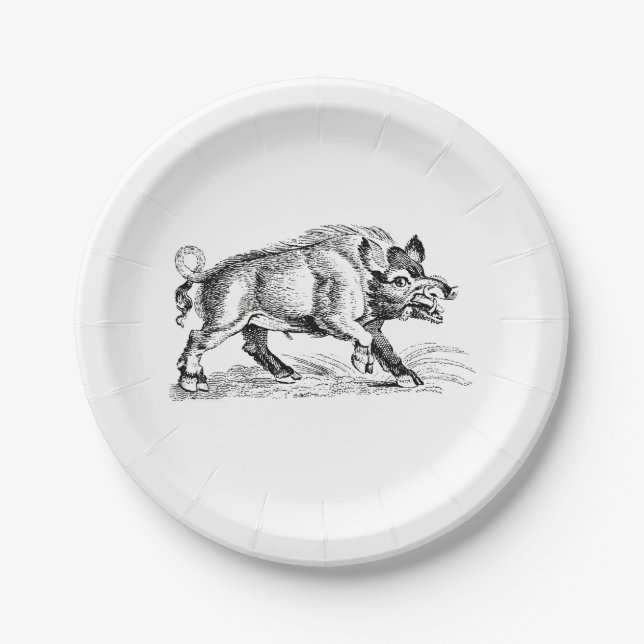 Vintage Wild Boar Drawing BW #2 Paper Plates (Front)